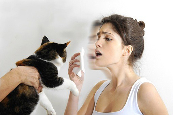 http://netrodinkam.ru/wp-content/uploads/2014/11/alergiagatos1.jpeg