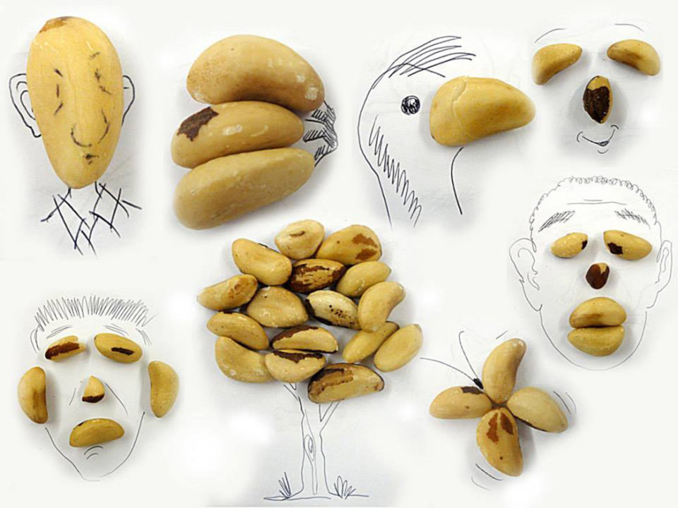 Виктор Нунес - Рисунки из орешков