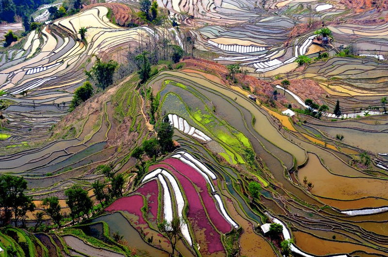 Посмотреть с самой высокой точки на рисовые террасы провинции Юньнань, Китай.