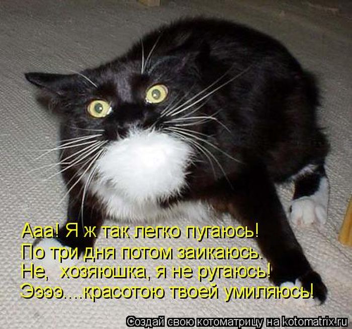 Мысли вслух :)