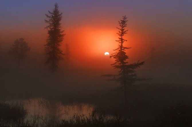 Лучшее с конкурса фотографии National Geographic 2015