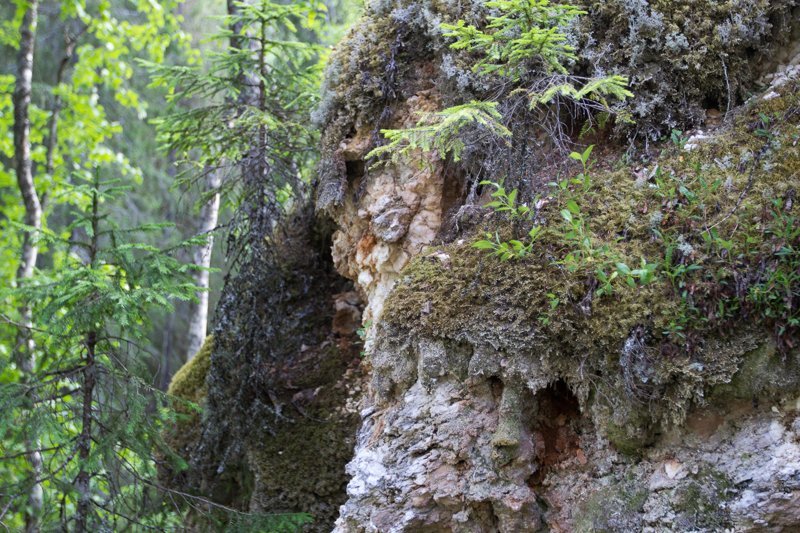 Архангельская область (скалы в Голубино) путешествия, факты, фото