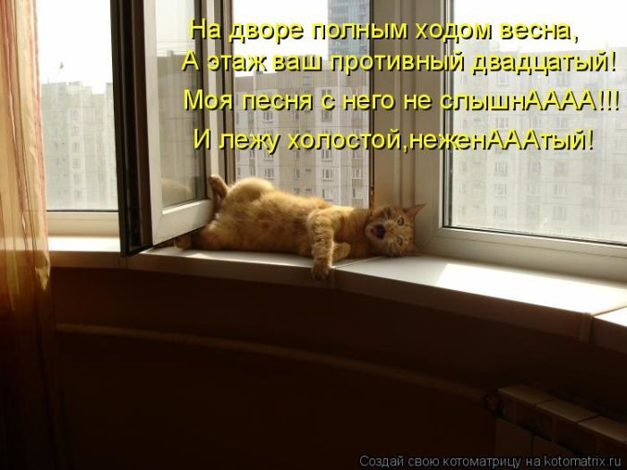 1426799333_21 (700x525, 153Kb)