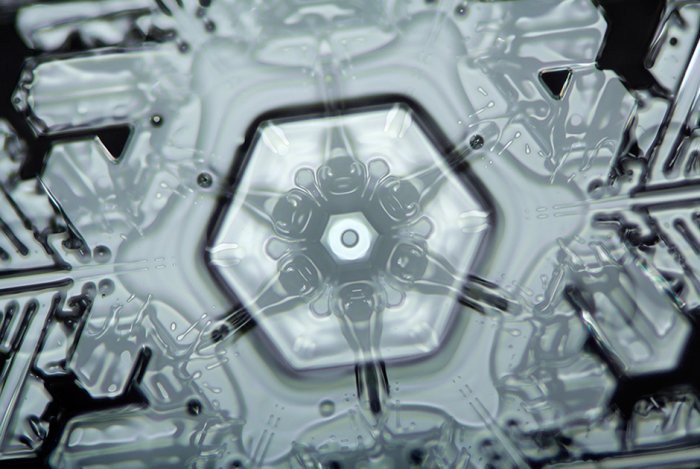 8. Ядро снежинки, похожее на цветок Линден Гледхилл, микроскоп, фото
