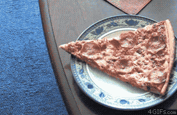 животные, пицца, юмор