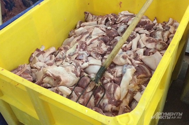 Колбасный ад: тайны мясокомбината
