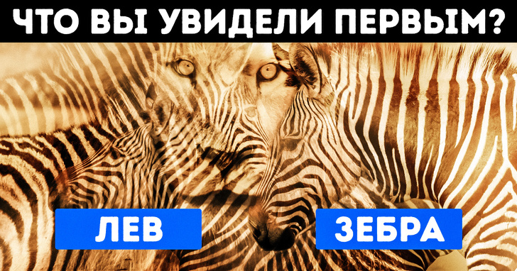 Первое изображение, которые вы увидите, расскажет самое главное о вашей личности