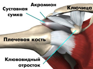 Travma-plechevogo-poyasa1