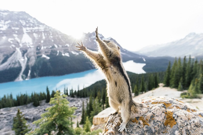 Лучшее с конкурса фотографии National Geographic 2015