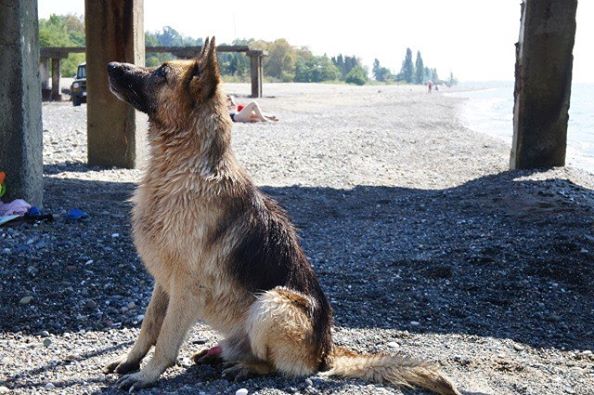 фотография Наталья Козырева.