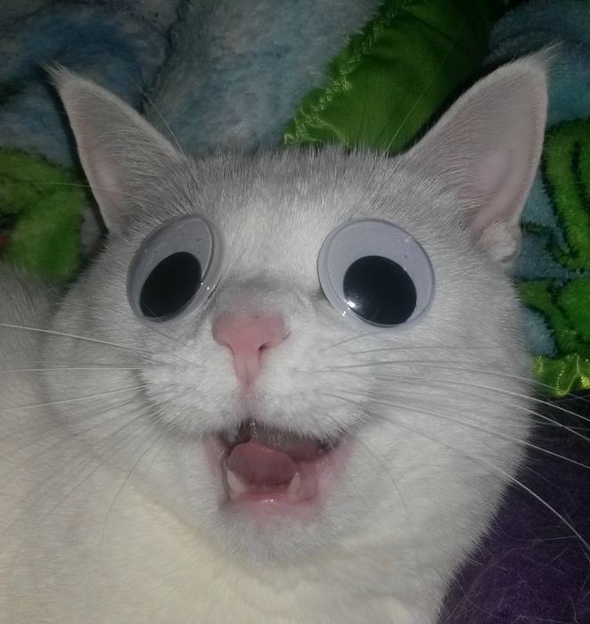   !