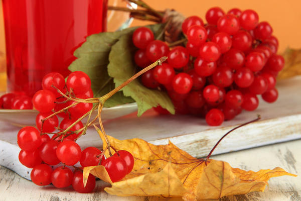 ��������� �����