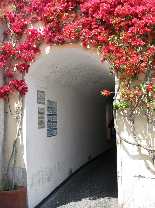 NewPix.ru - Живописный остров Капри,Италия