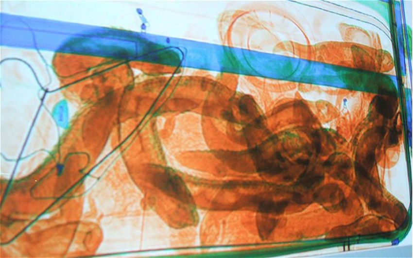 конфискация, животные, багаж, таможня