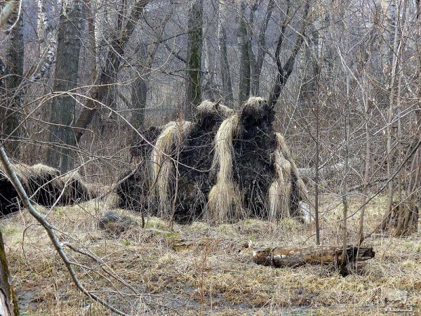Лучшие фотографии России за 2011 год Лучшие фотографии России за 2011 год