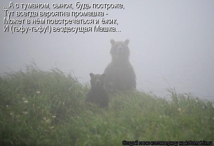 Санитар Васька (котоматрица) 40 фото Санитар Васька (котоматрица) 40 фото