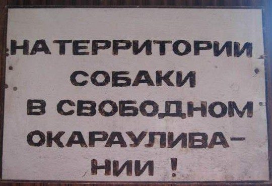 Объявления, правдивость которых не хочется проверять