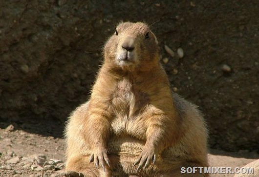 0_103dee_ca277bda_orig