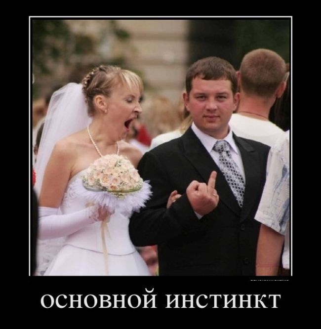 Демотиваторы (30 фото) Демотиваторы (30 фото)