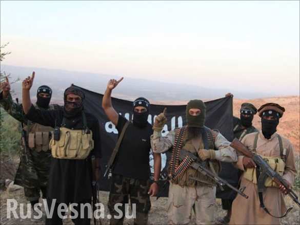 Шок: Украина и США вооружили «ИГИЛ», — Мария Захарова  | Русская весна