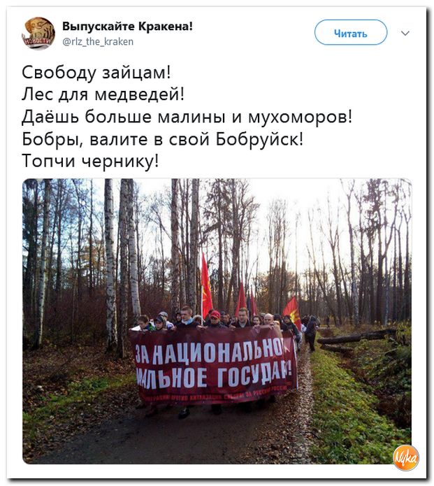Соцсети жгут! С юмором о злободневном в ехидных скриншотах (политсатира) Соцсети жгут! С юмором о злободневном в ехидных скриншотах (политсатира)