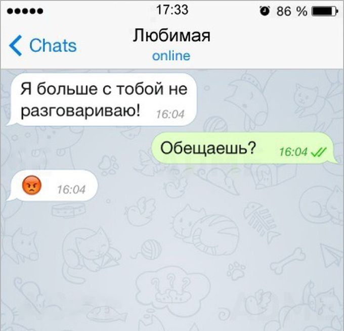 16  ,    , , 