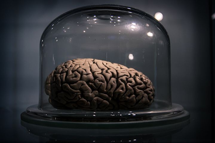  33 потрясающих факта о том, что происходит у нас в голове люди, мозг, факты