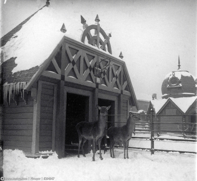 Москва 1900-1914 годов в фотографиях Сергея Челнокова Москва 1900-1914 годов в фотографиях Сергея Челнокова Сергей Челноков, архив, история, москва, фото