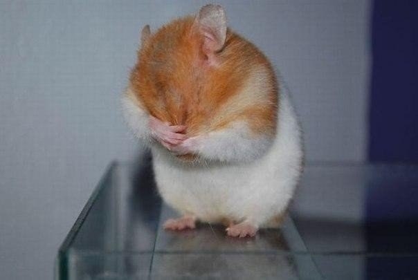 J-3OYQeyk3g (604x405, 67Kb)