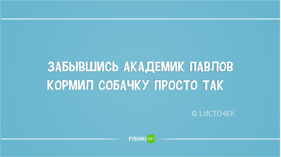 Стишки-пирожки: юмор в двух строчках ирония, пирожки, стихи