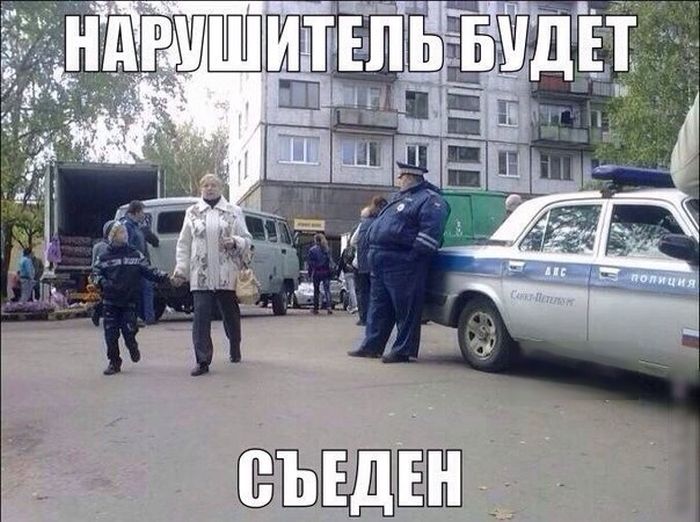 Свежая порция автомобильного юмора (41 фото)