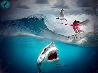 Нападение акулы-людоеда на серфера