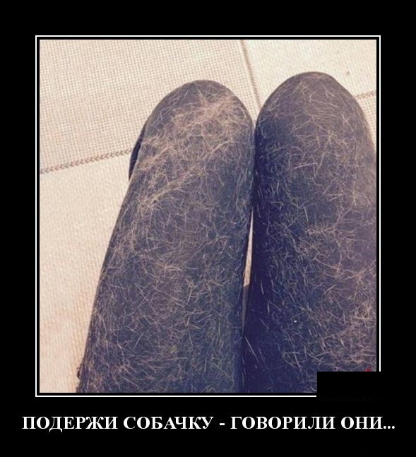 Демотиваторы смешные Демотиваторы смешные