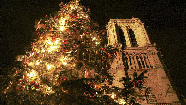 Рождественская елка перед собором Нотр-Дам в Париже