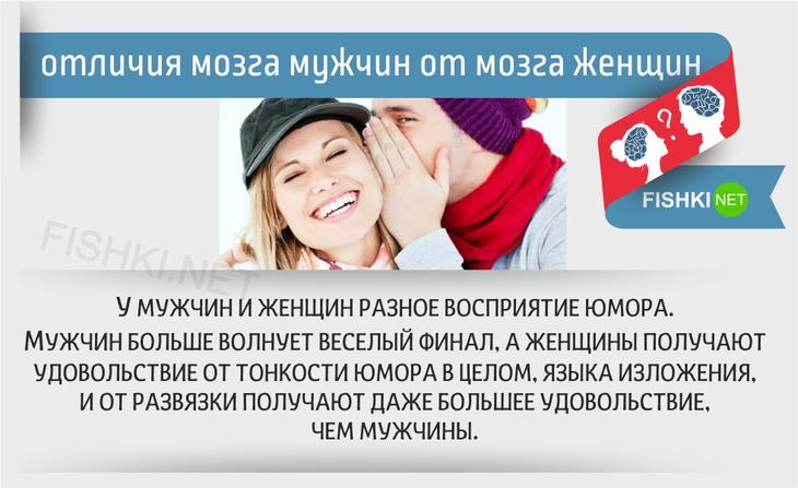 20 отличий мозга мужчин от мозга женщин женщины, мозг, мужчины