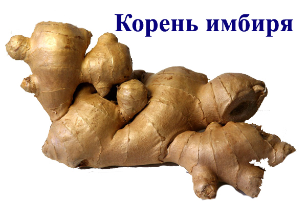 Полиартрит медицине Полиартрит медицине