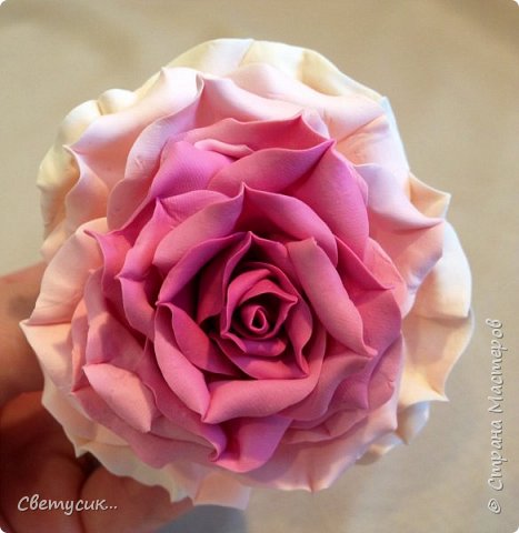 Мастер-класс Флористика искусственная Лепка МК розы из ХФ как и обещала Фарфор холодный фото 1