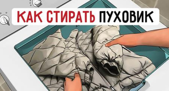 Правила стирки пуховиков в стиральной машине: 7 простых шагов… Правила стирки пуховиков в стиральной машине: 7 простых шагов…