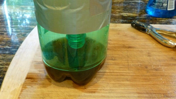 ловушка для комаров из пластиковой бутылки, фото с просторов интернета