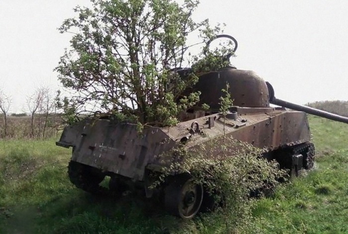 Танки захваченные природой