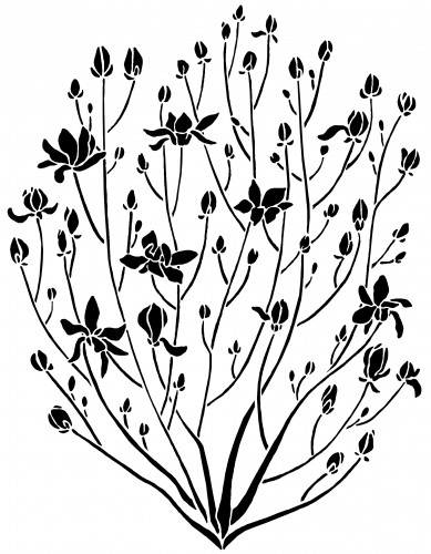 5ft_magnolia_bush_wall_stencil_-_reusable_diy_interior_design_decor_1719aa1b (389x500, 60Kb)