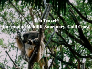 Eco Travel: Currumbin Wildlife Sanctuary | Lace n Ruffles
