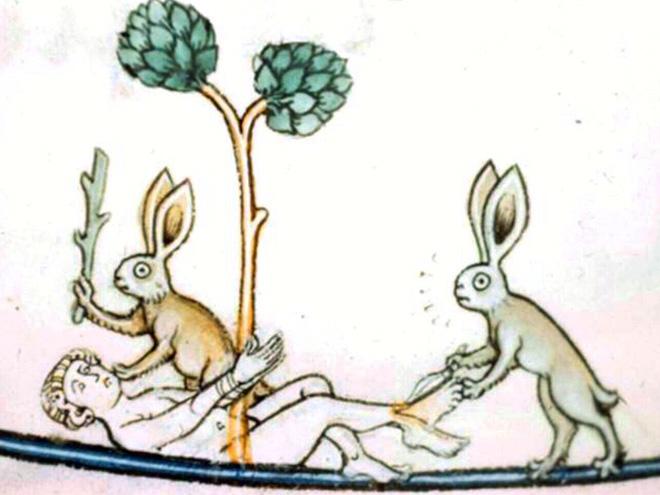 20 кроликов-убийц из средневековых книг: почему именно этих зверьков рисовали такими злобными