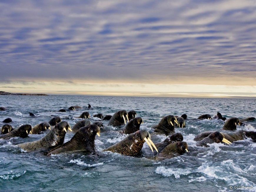 25 лучших фотографий National Geographic. Часть 2