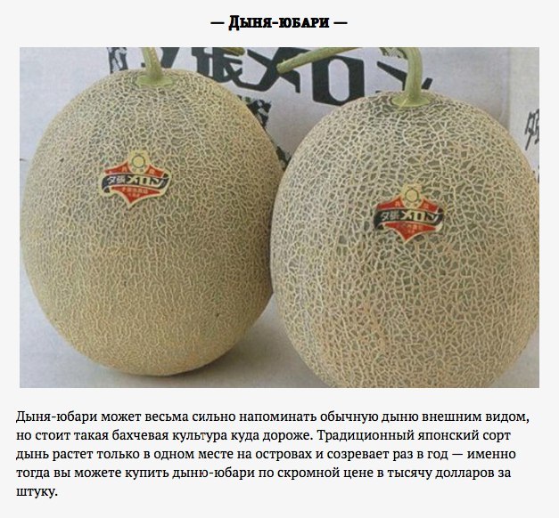 Самая дорогая еда на планете Еда, Гурман, Дорогие продукты, Удивительный мир вокруг нас, Длиннопост