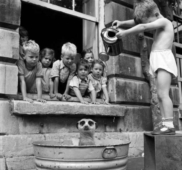    , , 1950-.
