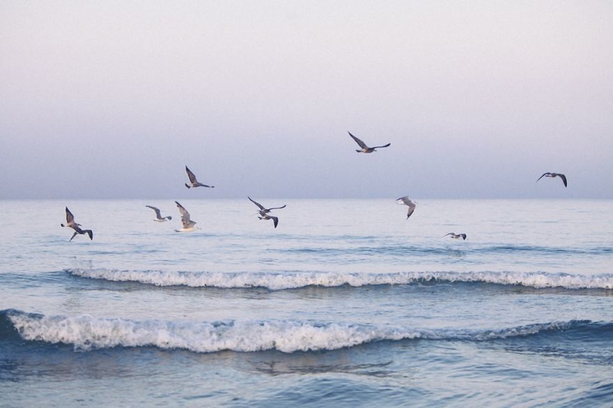 18 фотографий, от которых веет соленым морским бризом 