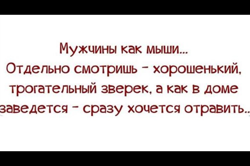 Необъяснимая женская логика? Так вот она! женская логика, юмор