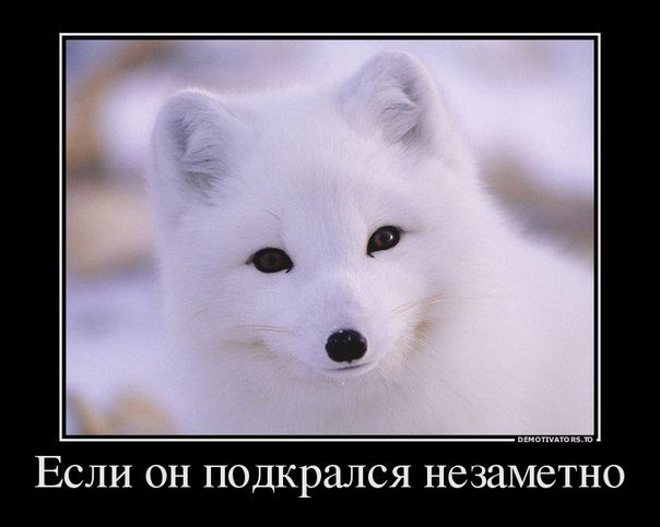 Демотиваторы дня. Супер Демотиваторы дня. Супер