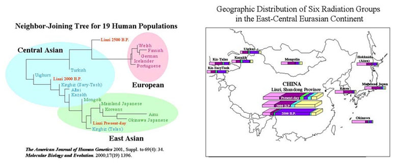 Тохарцы, или история Белой расы в Китае